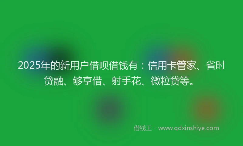 2025年的新用户借呗借钱有：信用卡管家、省时贷融、够享借、射手花、微粒贷等。