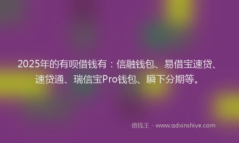 2025年的有呗借钱有：信融钱包、易借宝速贷、速贷通、瑞信宝Pro钱包、瞬下分期等。