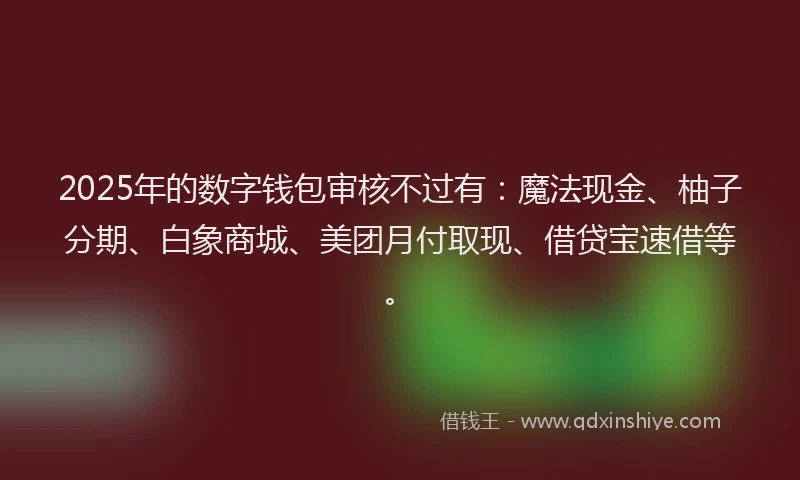 2025年的数字钱包审核不过有：魔法现金、柚子分期、白象商城、美团月付取现、借贷宝速借等。