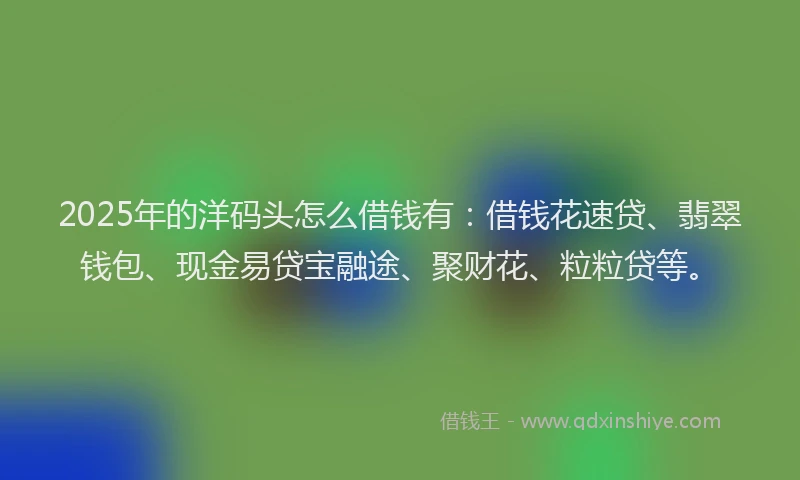 2025年的洋码头怎么借钱有：借钱花速贷、翡翠钱包、现金易贷宝融途、聚财花、粒粒贷等。