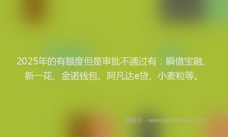 2025年的有额度但是审批不通过有：瞬借宝融、新一花、金诺钱包、阿凡达e贷、小麦粒等。