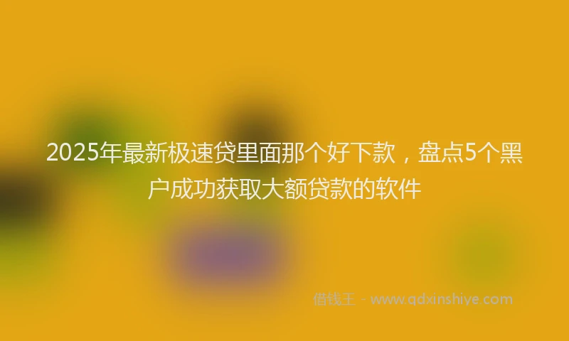 2025年最新极速贷里面那个好下款，盘点5个黑户成功获取大额贷款的软件
