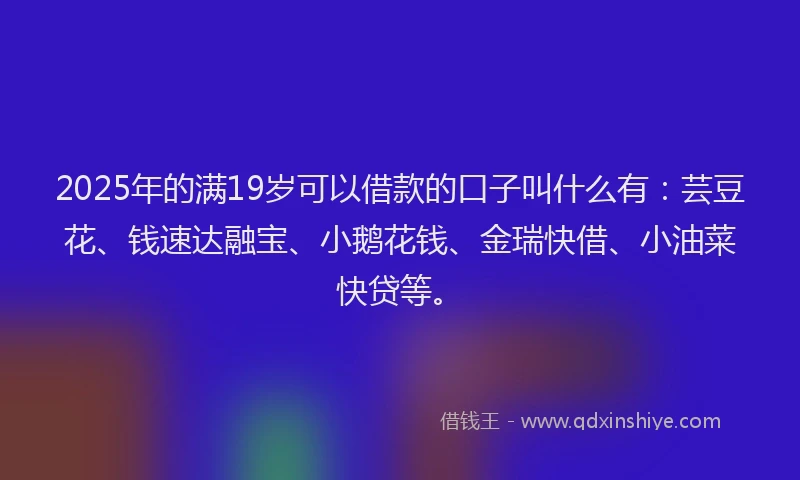 2025年的满19岁可以借款的口子叫什么有：芸豆花、钱速达融宝、小鹅花钱、金瑞快借、小油菜快贷等。