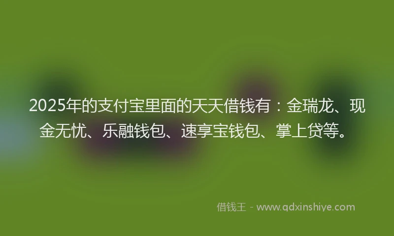2025年的支付宝里面的天天借钱有：金瑞龙、现金无忧、乐融钱包、速享宝钱包、掌上贷等。