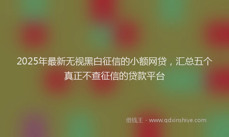 2025年最新无视黑白征信的小额网贷，汇总五个真正不查征信的贷款平台
