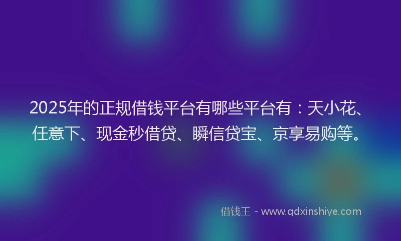 2025年的正规借钱平台有哪些平台有：天小花、任意下、现金秒借贷、瞬信贷宝、京享易购等。