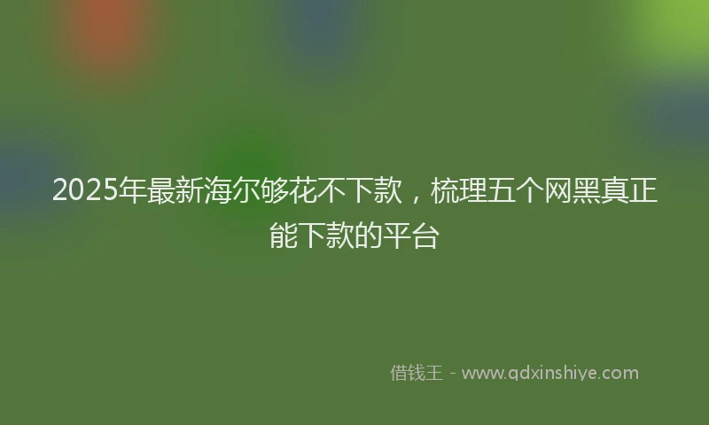 2025年最新海尔够花不下款，梳理五个网黑真正能下款的平台
