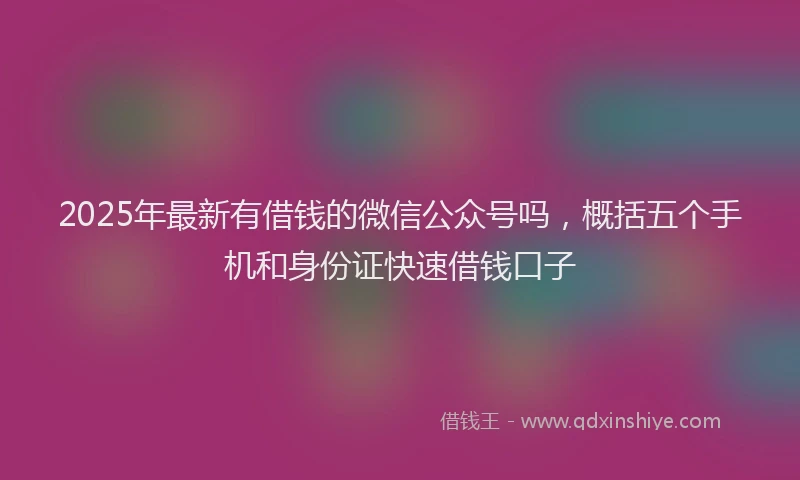 2025年最新有借钱的微信公众号吗，概括五个手机和身份证快速借钱口子