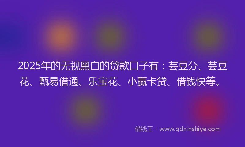 2025年的无视黑白的贷款口子有：芸豆分、芸豆花、甄易借通、乐宝花、小赢卡贷、借钱快等。