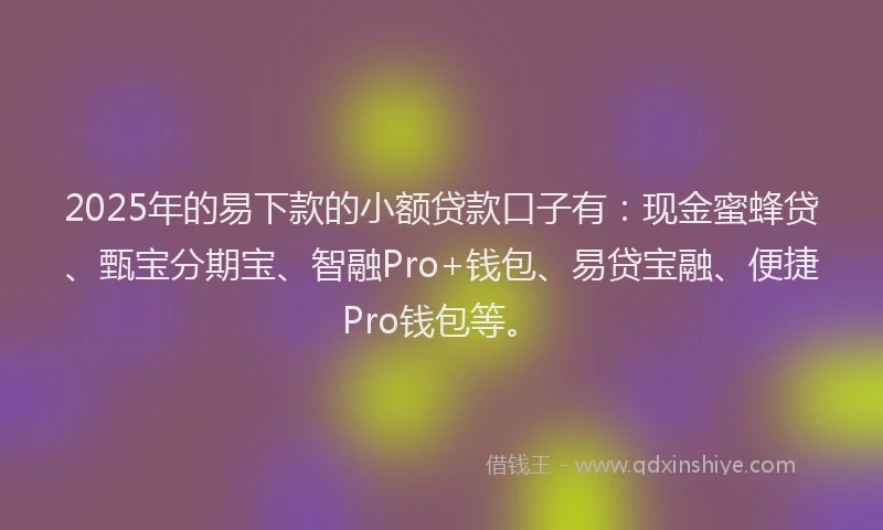 2025年的易下款的小额贷款口子有：现金蜜蜂贷、甄宝分期宝、智融Pro+钱包、易贷宝融、便捷Pro钱包等。
