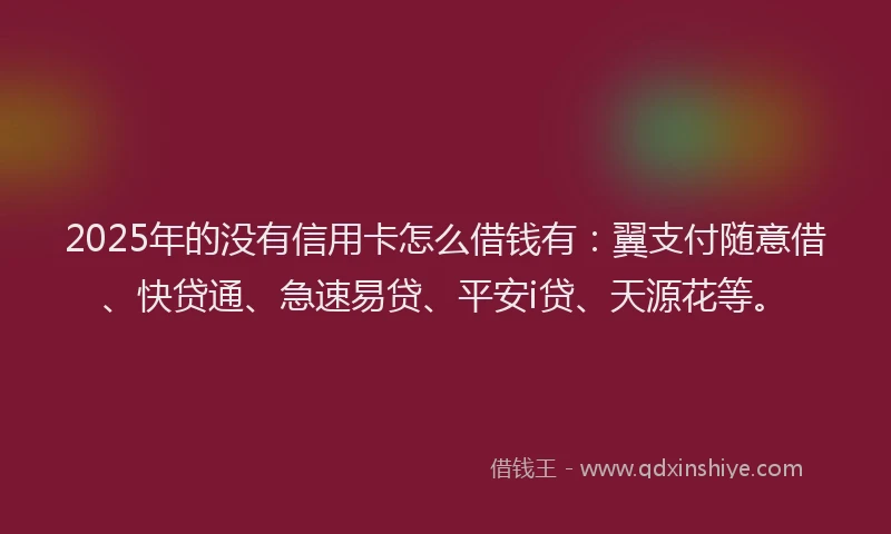 2025年的没有信用卡怎么借钱有：翼支付随意借、快贷通、急速易贷、平安i贷、天源花等。