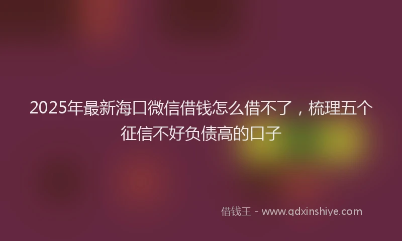 2025年最新海口微信借钱怎么借不了，梳理五个征信不好负债高的口子