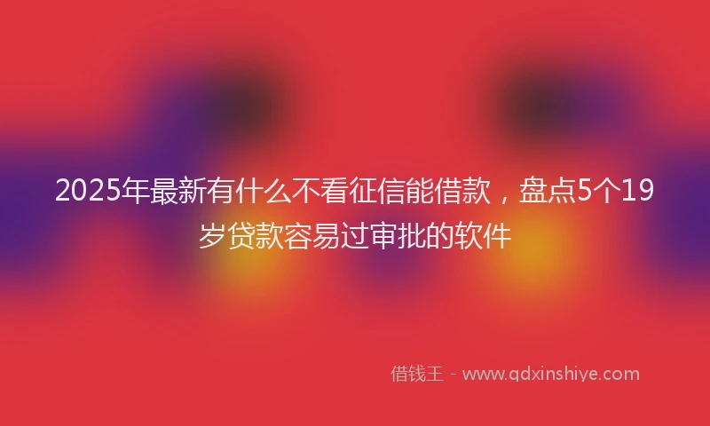 2025年最新有什么不看征信能借款，盘点5个19岁贷款容易过审批的软件