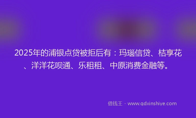 2025年的浦银点贷被拒后有：玛瑙信贷、桔享花、洋洋花呗通、乐租租、中原消费金融等。