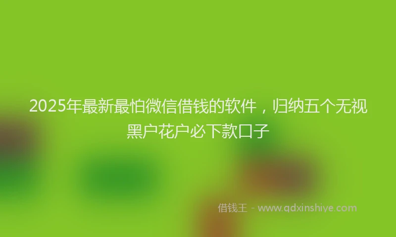 2025年最新最怕微信借钱的软件，归纳五个无视黑户花户必下款口子
