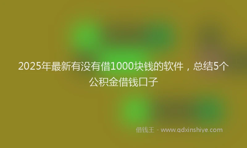 2025年最新有没有借1000块钱的软件，总结5个公积金借钱口子