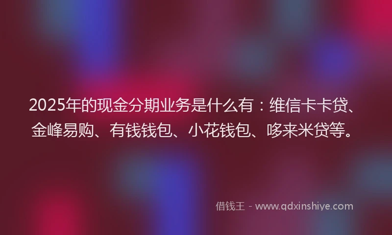 2025年的现金分期业务是什么有：维信卡卡贷、金峰易购、有钱钱包、小花钱包、哆来米贷等。