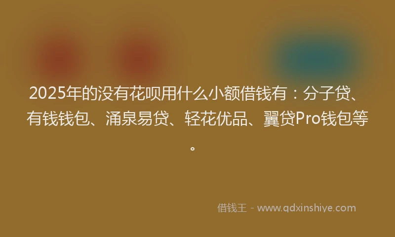 2025年的没有花呗用什么小额借钱有：分子贷、有钱钱包、涌泉易贷、轻花优品、翼贷Pro钱包等。