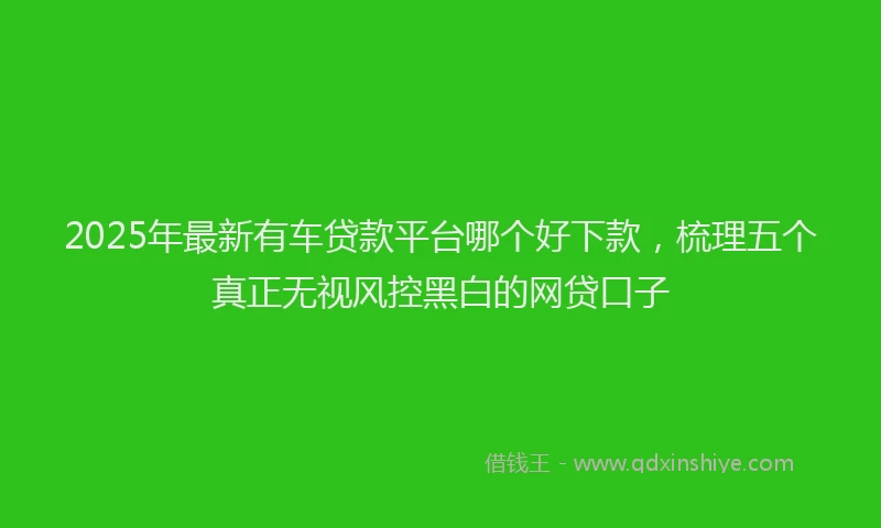 2025年最新有车贷款平台哪个好下款，梳理五个真正无视风控黑白的网贷口子