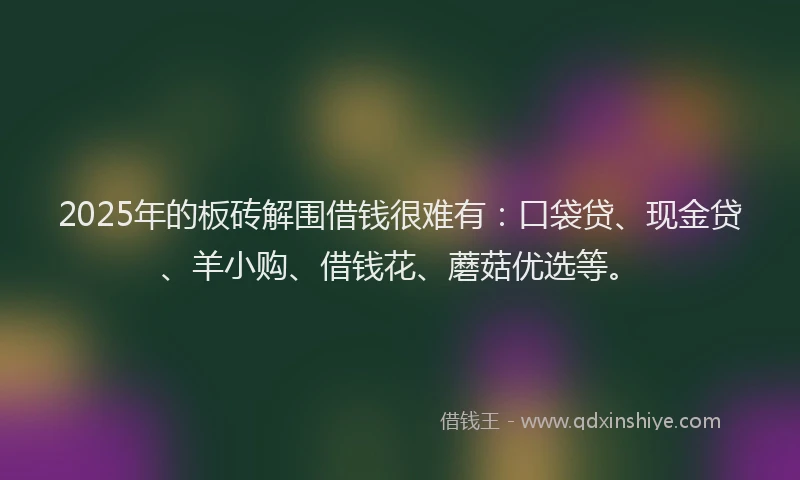 2025年的板砖解围借钱很难有：口袋贷、现金贷、羊小购、借钱花、蘑菇优选等。