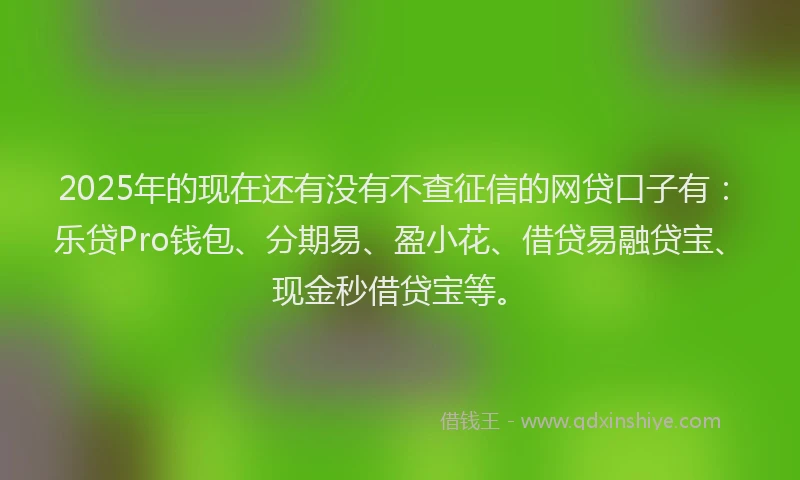 2025年的现在还有没有不查征信的网贷口子有：乐贷Pro钱包、分期易、盈小花、借贷易融贷宝、现金秒借贷宝等。
