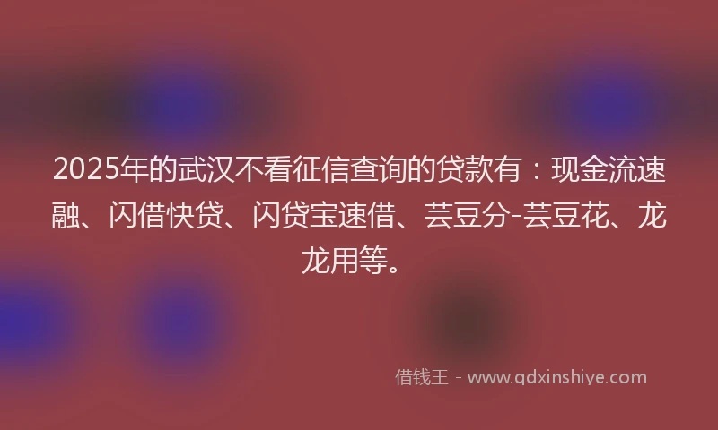 2025年的武汉不看征信查询的贷款有：现金流速融、闪借快贷、闪贷宝速借、芸豆分-芸豆花、龙龙用等。