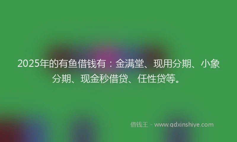 2025年的有鱼借钱有：金满堂、现用分期、小象分期、现金秒借贷、任性贷等。