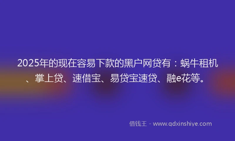 2025年的现在容易下款的黑户网贷有：蜗牛租机、掌上贷、速借宝、易贷宝速贷、融e花等。