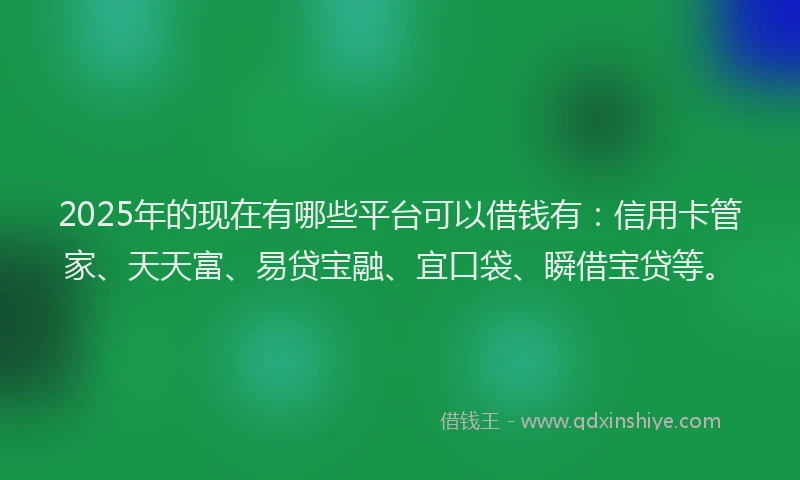 2025年的现在有哪些平台可以借钱有：信用卡管家、天天富、易贷宝融、宜口袋、瞬借宝贷等。