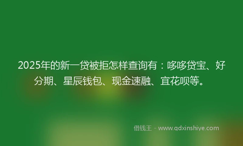 2025年的新一贷被拒怎样查询有：哆哆贷宝、好分期、星辰钱包、现金速融、宜花呗等。
