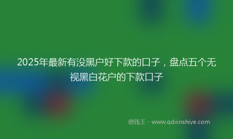 2025年最新有没黑户好下款的口子，盘点五个无视黑白花户的下款口子