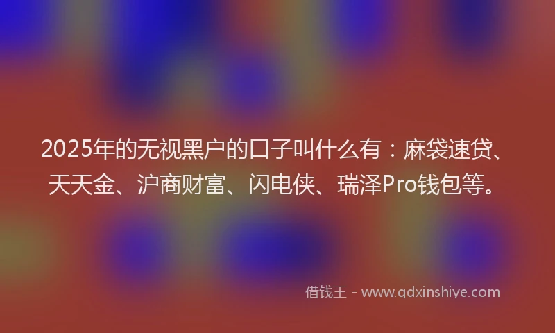 2025年的无视黑户的口子叫什么有：麻袋速贷、天天金、沪商财富、闪电侠、瑞泽Pro钱包等。