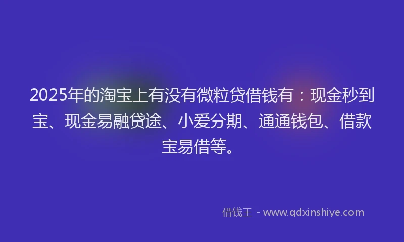 2025年的淘宝上有没有微粒贷借钱有：现金秒到宝、现金易融贷途、小爱分期、通通钱包、借款宝易借等。