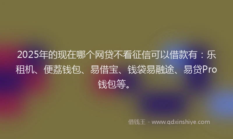 2025年的现在哪个网贷不看征信可以借款有：乐租机、便荔钱包、易借宝、钱袋易融途、易贷Pro钱包等。