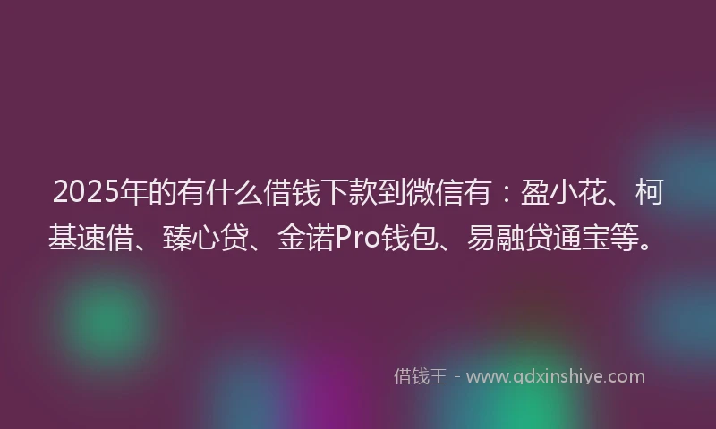 2025年的有什么借钱下款到微信有：盈小花、柯基速借、臻心贷、金诺Pro钱包、易融贷通宝等。