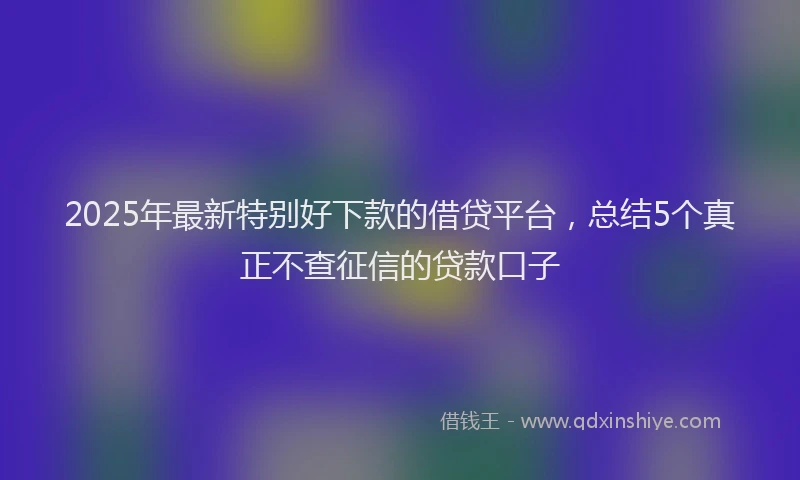 2025年最新特别好下款的借贷平台，总结5个真正不查征信的贷款口子
