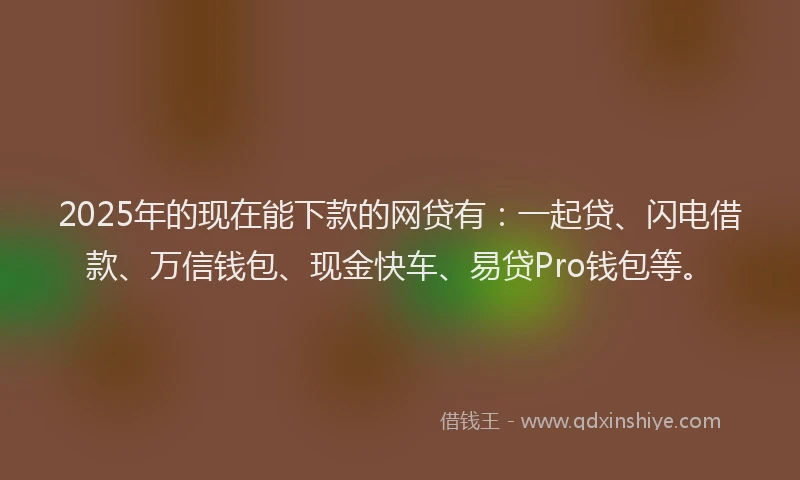 2025年的现在能下款的网贷有：一起贷、闪电借款、万信钱包、现金快车、易贷Pro钱包等。