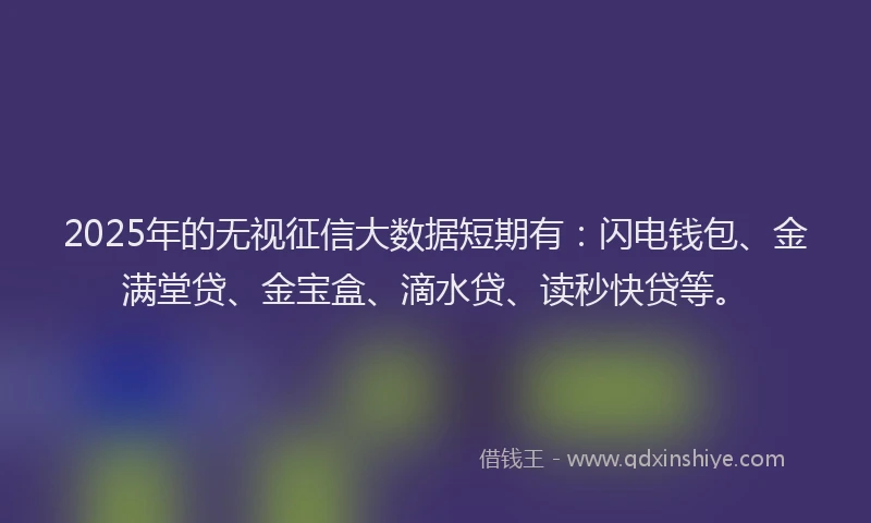 2025年的无视征信大数据短期有：闪电钱包、金满堂贷、金宝盒、滴水贷、读秒快贷等。