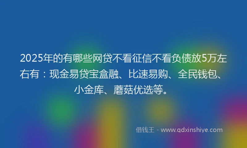 2025年的有哪些网贷不看征信不看负债放5万左右有：现金易贷宝盒融、比速易购、全民钱包、小金库、蘑菇优选等。