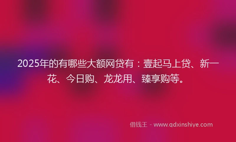 2025年的有哪些大额网贷有：壹起马上贷、新一花、今日购、龙龙用、臻享购等。