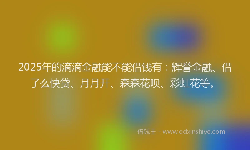 2025年的滴滴金融能不能借钱有：辉誉金融、借了么快贷、月月开、森森花呗、彩虹花等。