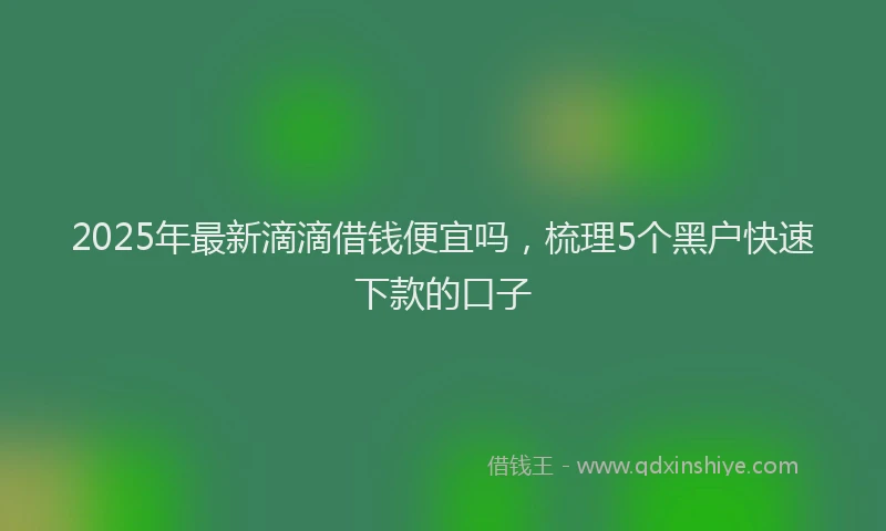 2025年最新滴滴借钱便宜吗，梳理5个黑户快速下款的口子
