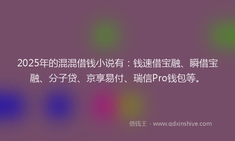 2025年的混混借钱小说有：钱速借宝融、瞬借宝融、分子贷、京享易付、瑞信Pro钱包等。