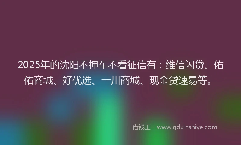 2025年的沈阳不押车不看征信有：维信闪贷、佑佑商城、好优选、一川商城、现金贷速易等。