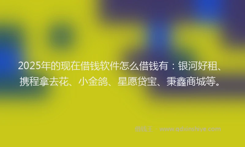 2025年的现在借钱软件怎么借钱有：银河好租、携程拿去花、小金鸽、星愿贷宝、秉鑫商城等。