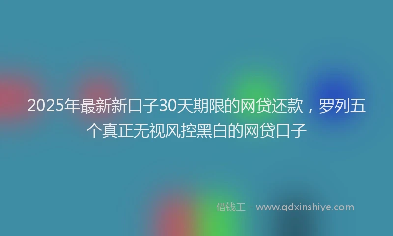 2025年最新新口子30天期限的网贷还款，罗列五个真正无视风控黑白的网贷口子