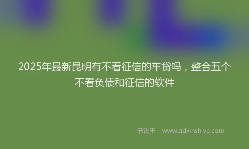 2025年最新昆明有不看征信的车贷吗，整合五个不看负债和征信的软件