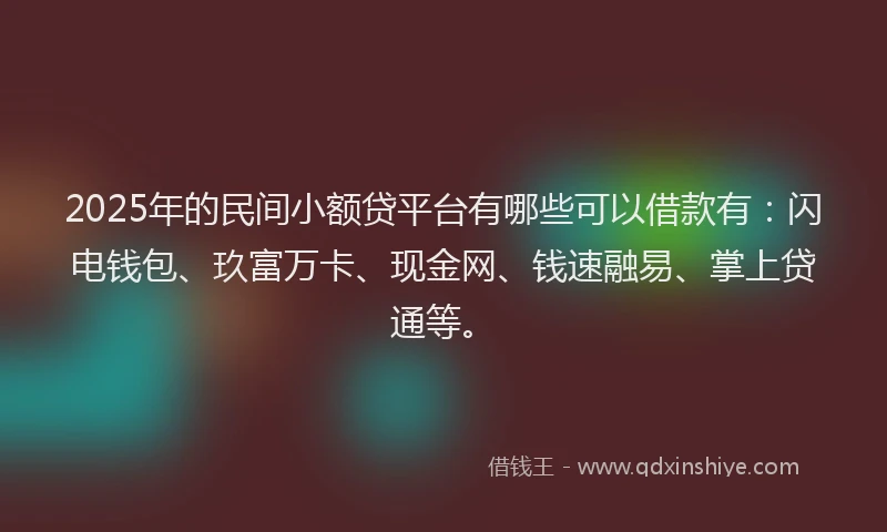 2025年的民间小额贷平台有哪些可以借款有：闪电钱包、玖富万卡、现金网、钱速融易、掌上贷通等。