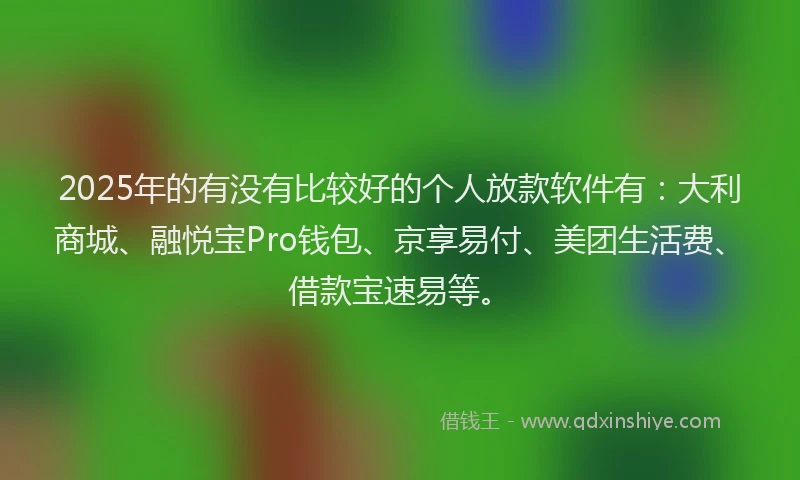 2025年的有没有比较好的个人放款软件有：大利商城、融悦宝Pro钱包、京享易付、美团生活费、借款宝速易等。