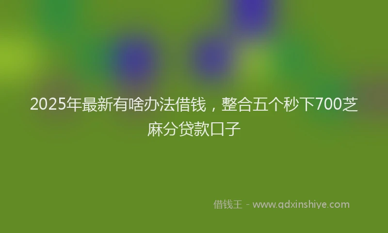 2025年最新有啥办法借钱，整合五个秒下700芝麻分贷款口子